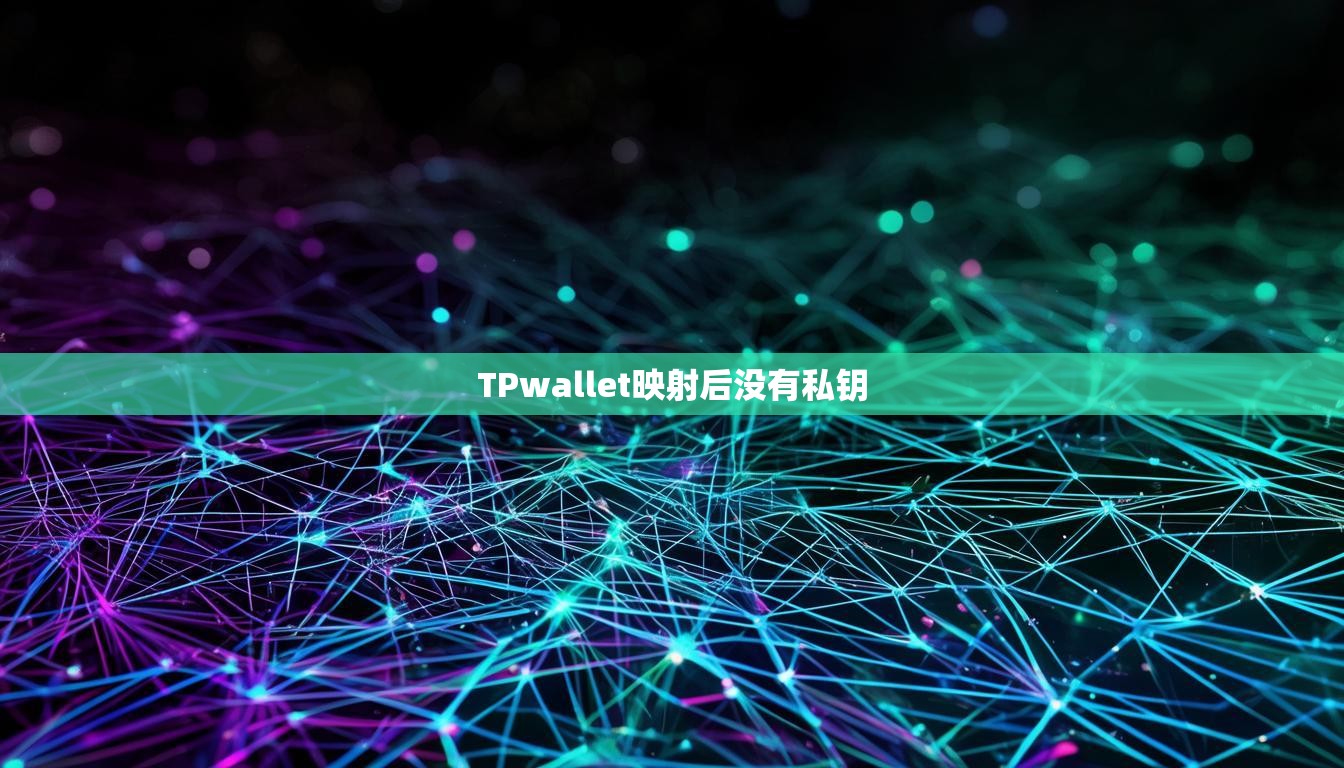 TPwallet映射后没有私钥